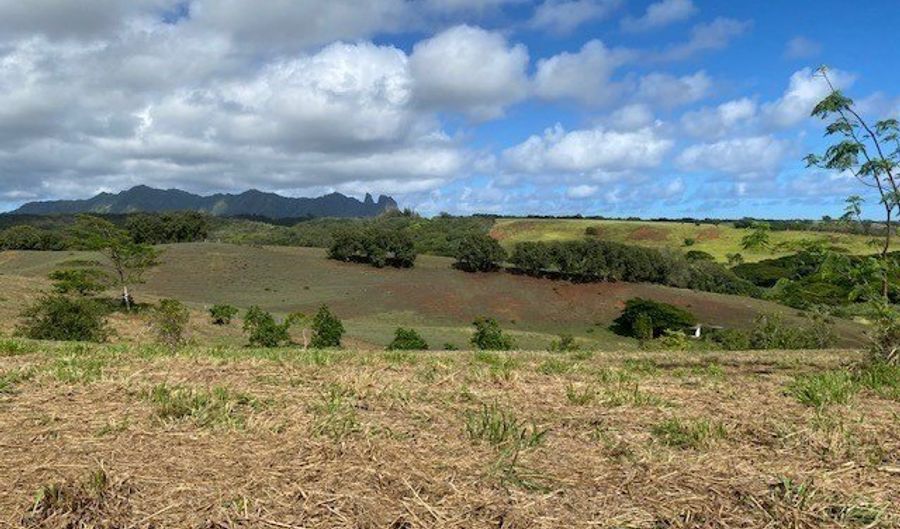 LAIPO RD, Kapaa, HI 96746 - 0 Beds, 0 Bath