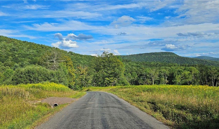 Shaver Hollow, Andes, NY 13731 - 0 Beds, 0 Bath