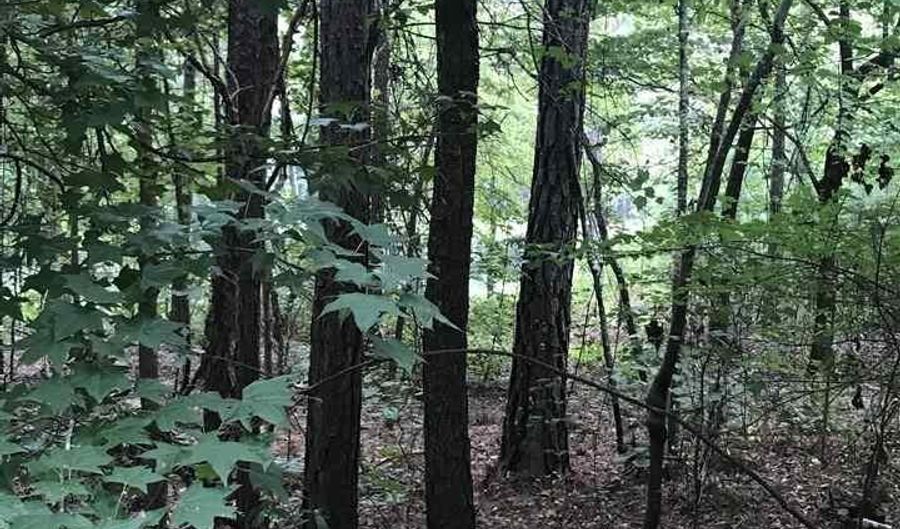 LAKESIDE LANE lot 25, Alpine, AL 35014 - 0 Beds, 0 Bath
