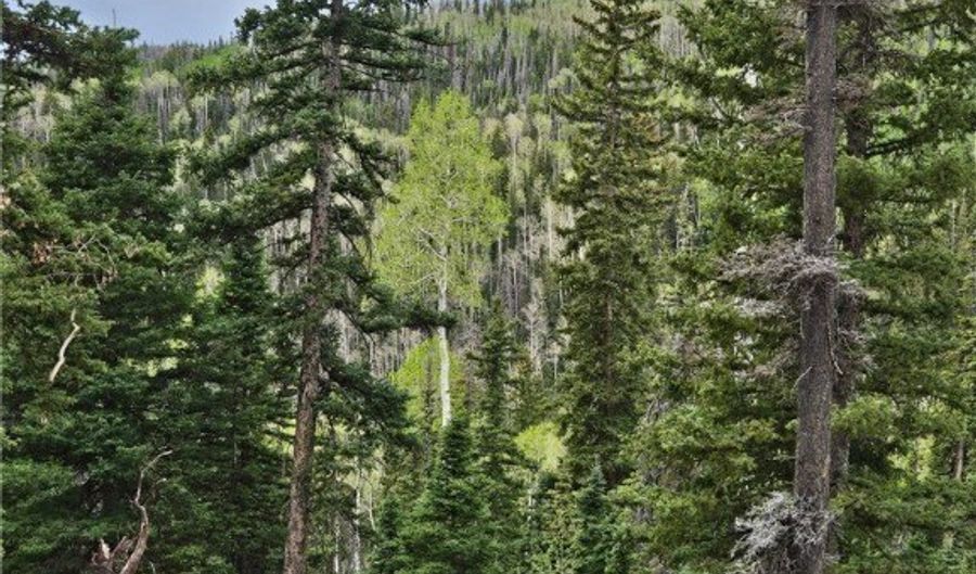 Lot 39 West Village, Beaver, UT 84713 - 0 Beds, 0 Bath