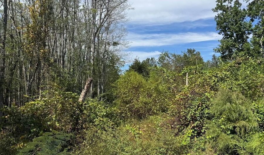 0 Lake Mayers Rd, Baxley, GA 31513 - 0 Beds, 0 Bath