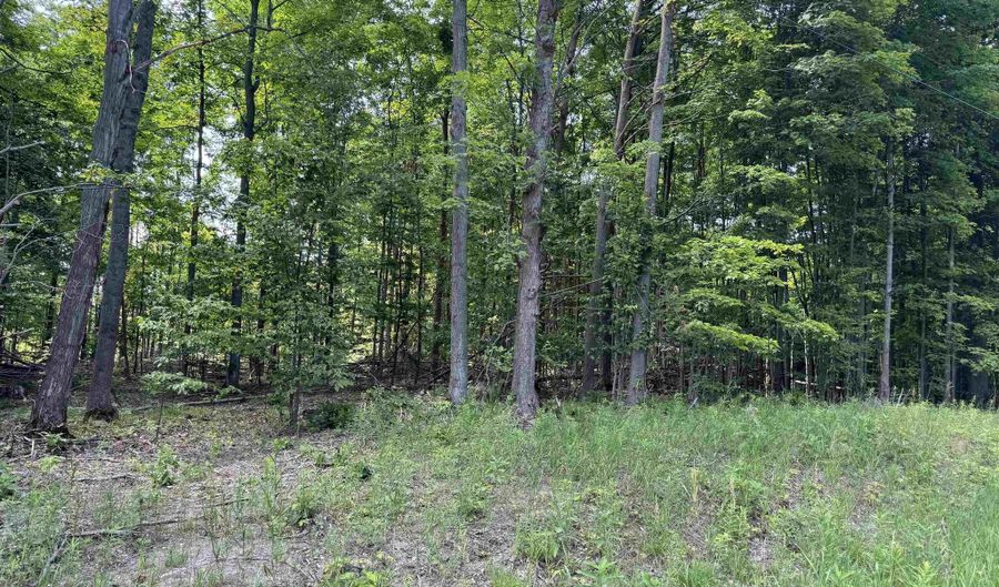 7931 NW Dundas Rd, Alden, MI 49612 - 0 Beds, 0 Bath