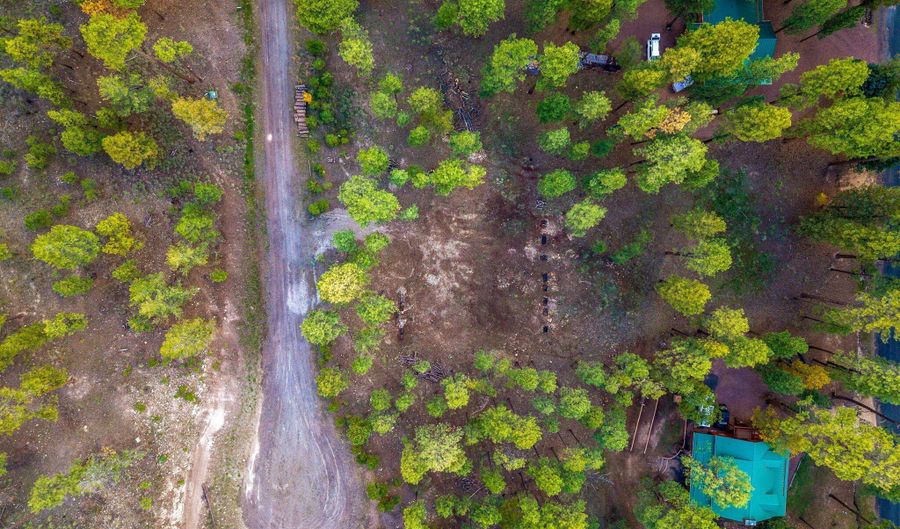 7 Eric Ln, Alpine, AZ 85920 - 0 Beds, 0 Bath