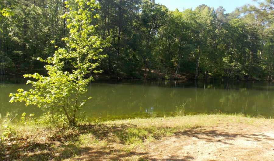 12 RIVERVIEW Ct, Lincolnton, GA 30817 - 0 Beds, 0 Bath
