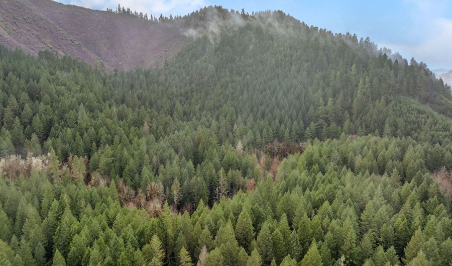 Upper Cow Creek Road, Azalea, OR 97410 - 0 Beds, 0 Bath