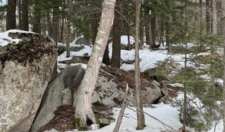 Map 6 Lot 103 Route 16, Albany, NH 03818 - 0 Beds, 0 Bath