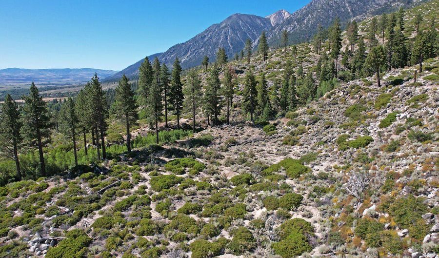 Kingsbury Grade, Gardnerville, NV 89460 - 0 Beds, 0 Bath