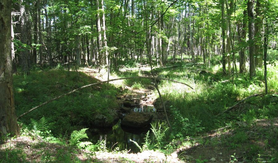 1260 Valentine Pond Rd, Adirondack, NY 12808 - 0 Beds, 0 Bath