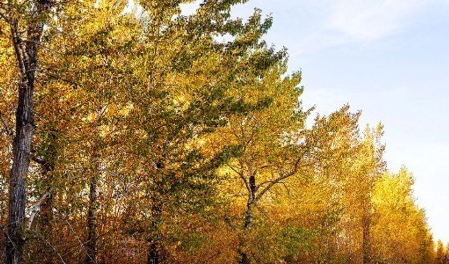 20 Prairie Grass B, Bozeman, MT 59718 - 4 Beds, 4 Bath