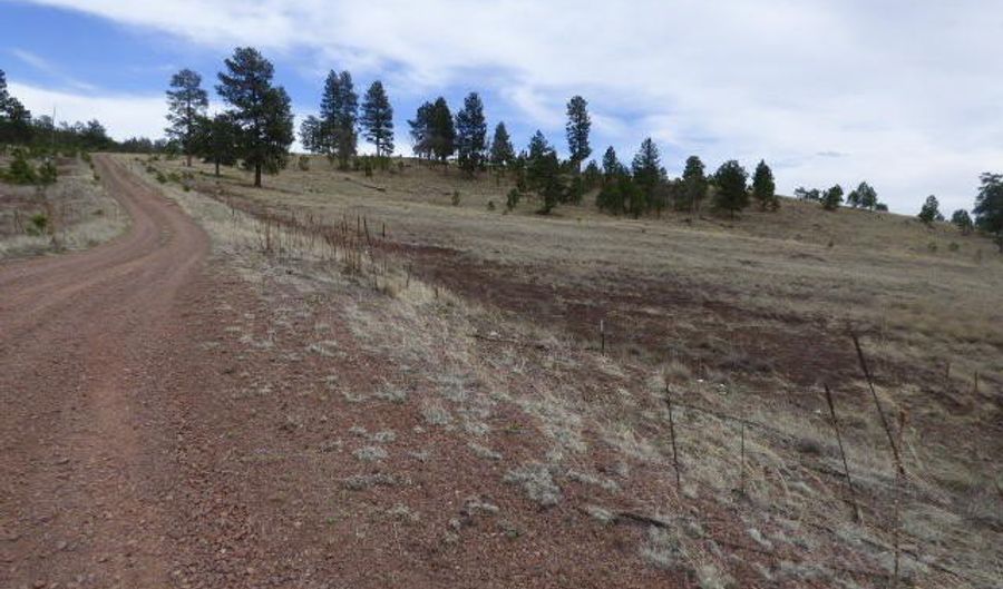 Lot 16a The Ranch At Alpine, Alpine, AZ 85920 - 0 Beds, 0 Bath