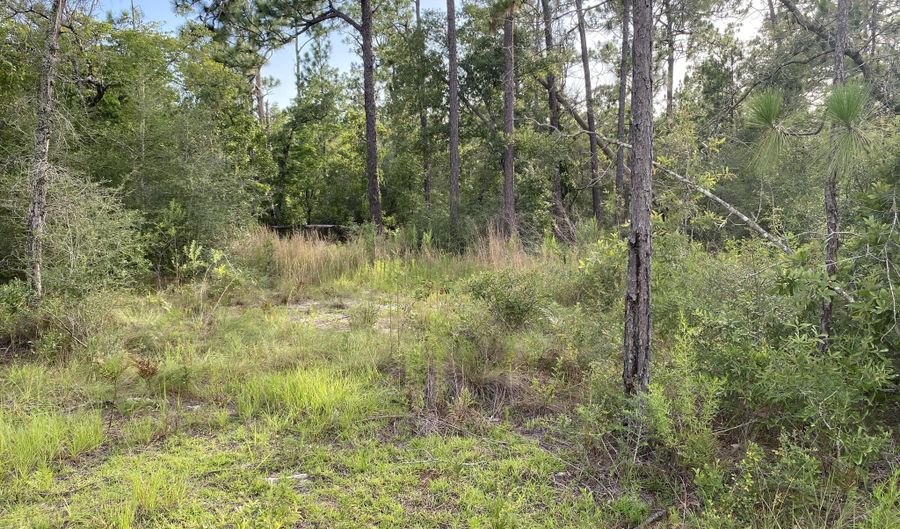 Putnam Avenue lot 31, Alford, FL 32420 - 0 Beds, 0 Bath