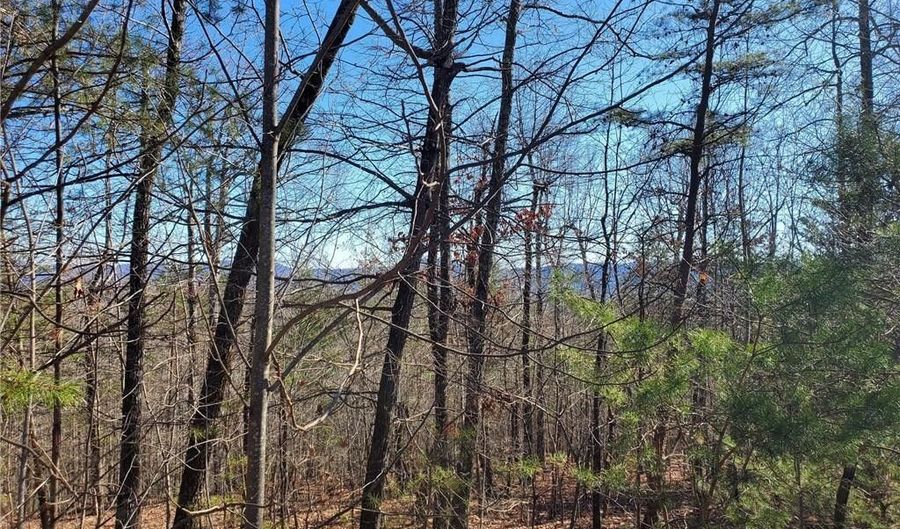 Lot 5 Sweetwater Road, Boomer, NC 28654 - 0 Beds, 0 Bath