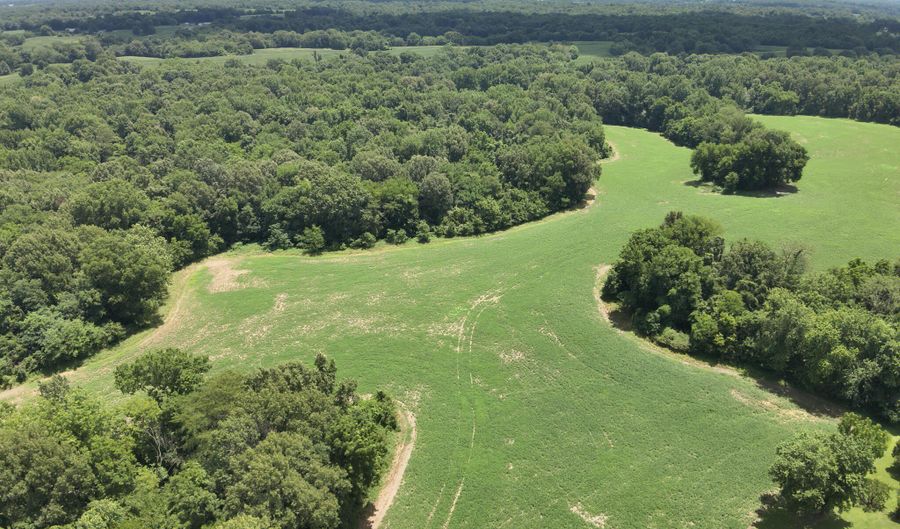 Hwy 1591, Bardwell, KY 42023 - 0 Beds, 0 Bath