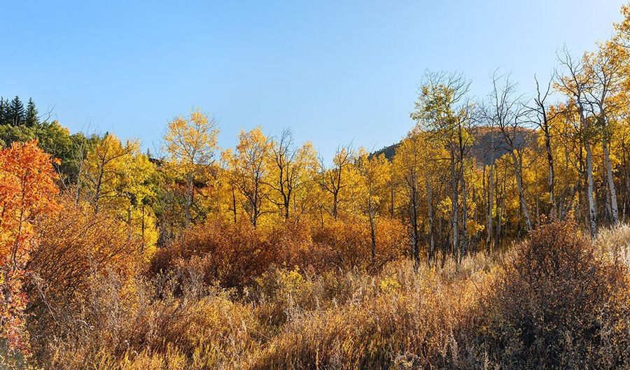 Trentaz Drive, Aspen, CO 81611 - 0 Beds, 0 Bath