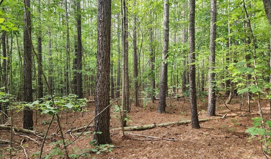 0- Lot 2-2 Red House Rd, Appomattox, VA 24522 - 0 Beds, 0 Bath