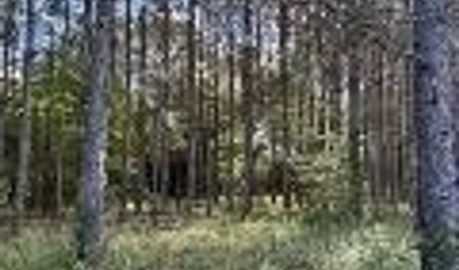 570 Bethany Church Rd, Bainbridge, GA 39817 - 0 Beds, 0 Bath