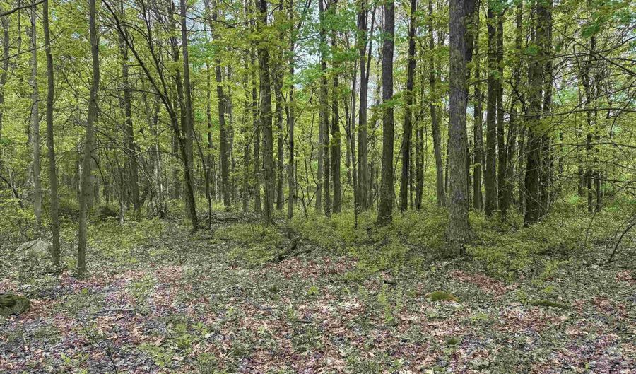 Lot 30 Oak Drive, Albright, WV 26519 - 0 Beds, 0 Bath