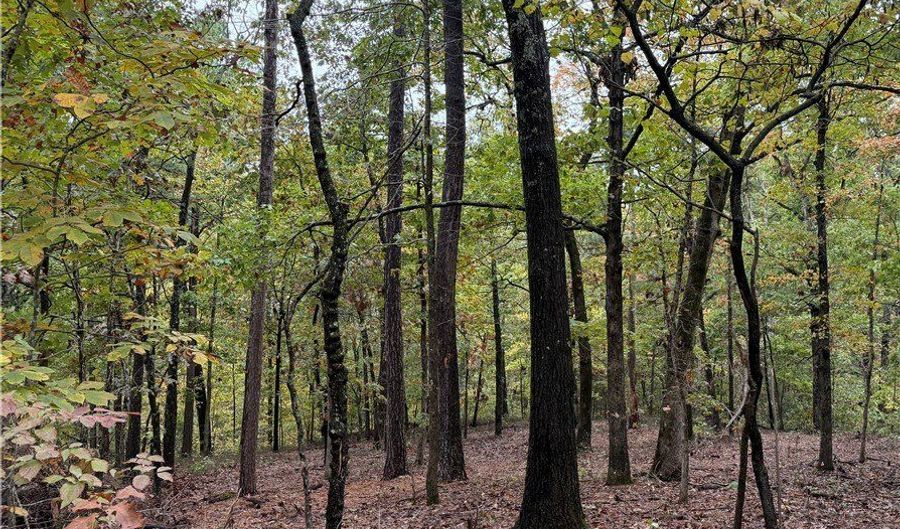 Potter Lane lot 12, Bella Vista, AR 72715 - 0 Beds, 0 Bath