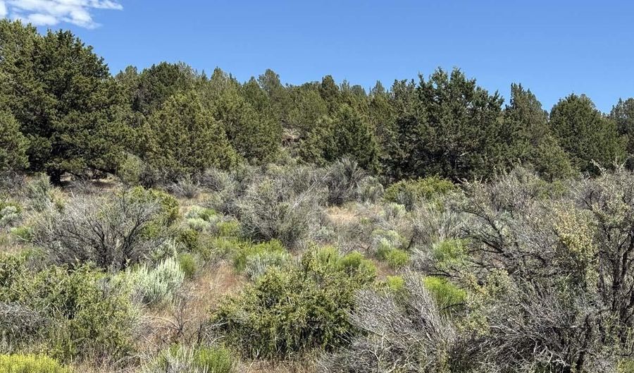 Medicine Mountain Drive 1, Beatty, OR 97621 - 0 Beds, 0 Bath