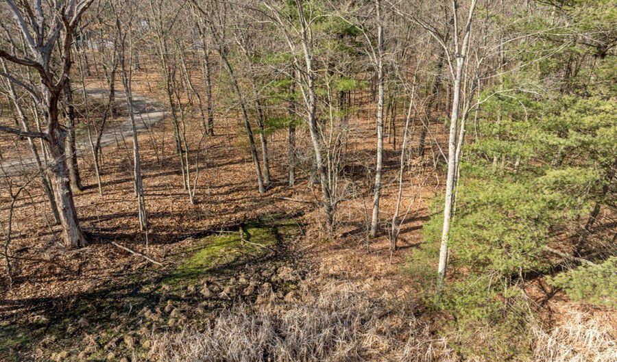 8965 Vergennes St SE, Ada, MI 49301 - 0 Beds, 0 Bath