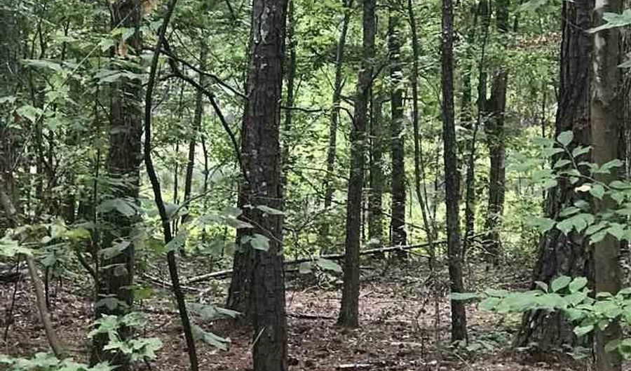 LAKESIDE LANE lot 19, Alpine, AL 35014 - 0 Beds, 0 Bath