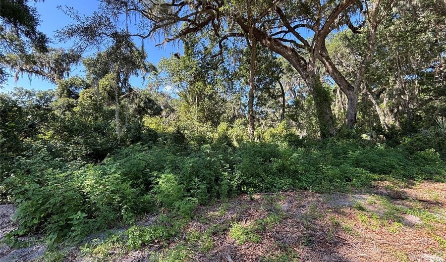 14155 NE 47TH Ave, Anthony, FL 32617 - 0 Beds, 0 Bath