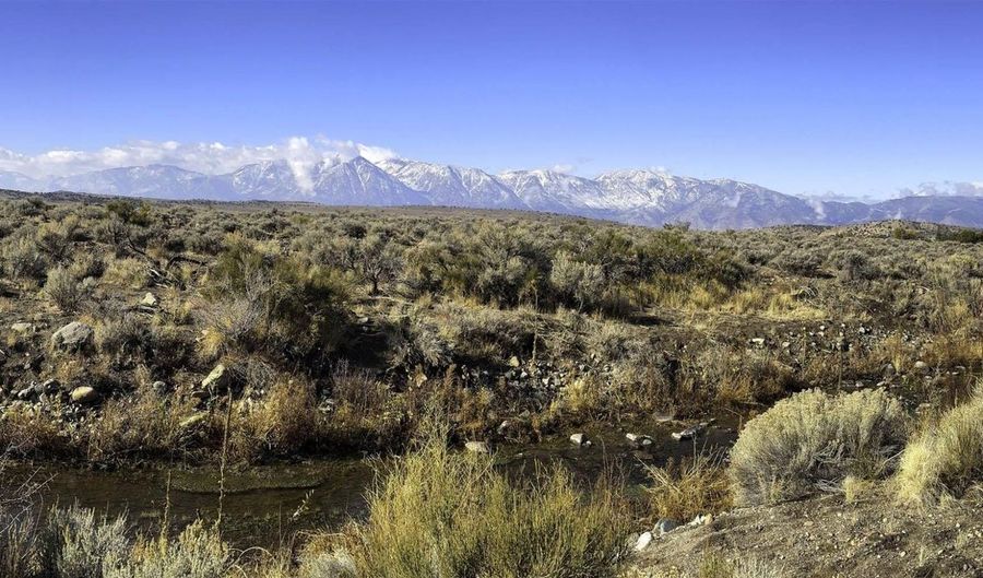 Bray Way, Gardnerville, NV 89410 - 0 Beds, 0 Bath