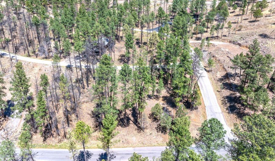223 Lake Shore Dr Lot 1, Alto, NM 88312 - 0 Beds, 0 Bath