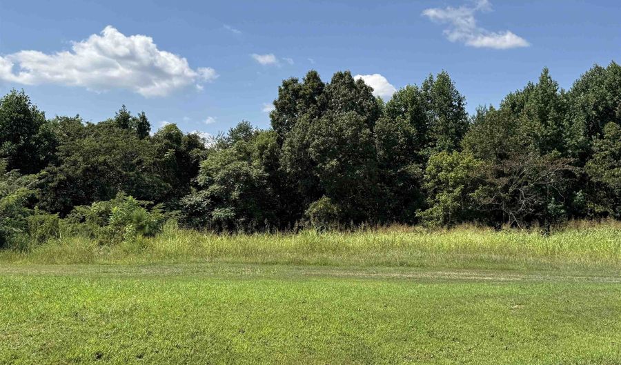 00 Co Rd 88, Anderson, AL 35610 - 0 Beds, 0 Bath