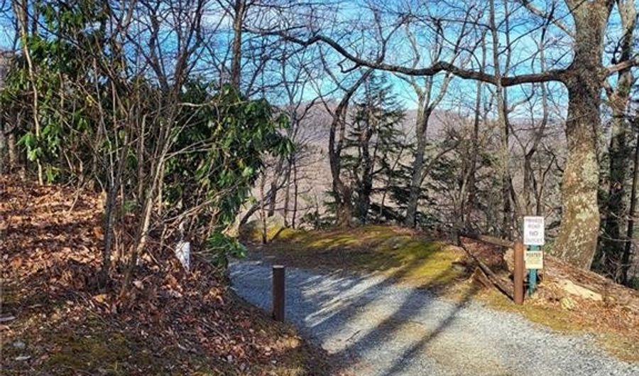 Tract 1-52.57 Ac Cone Orchard Lane, Blowing Rock, NC 28605 - 0 Beds, 0 Bath