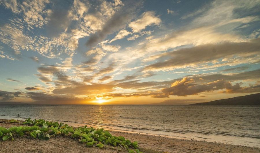 938 S Kihei Rd 102, Kihei, HI 96753 - 0 Beds, 1 Bath