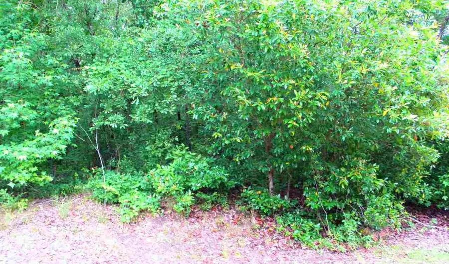 Lot # 8 Gee Valley Dr, Timmonsville, SC 29161 - 0 Beds, 0 Bath