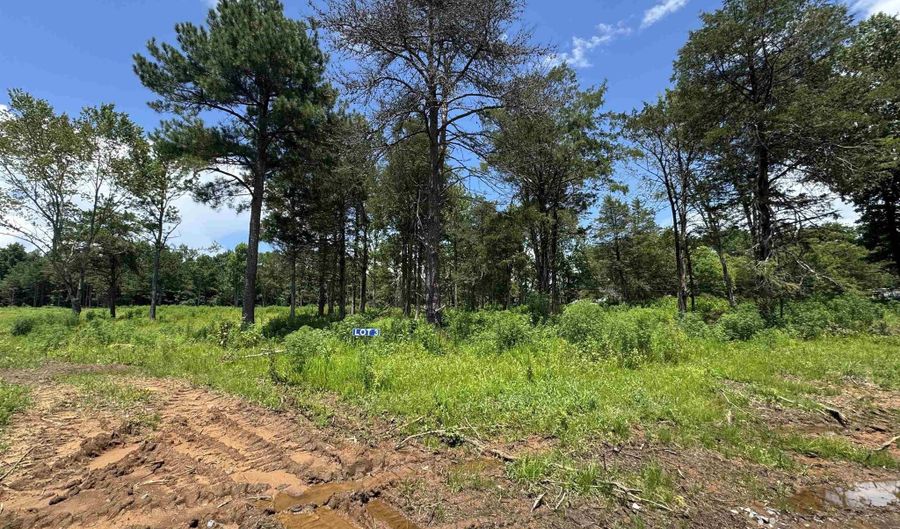3 Razorback Way, Albertville, AL 35951 - 0 Beds, 0 Bath
