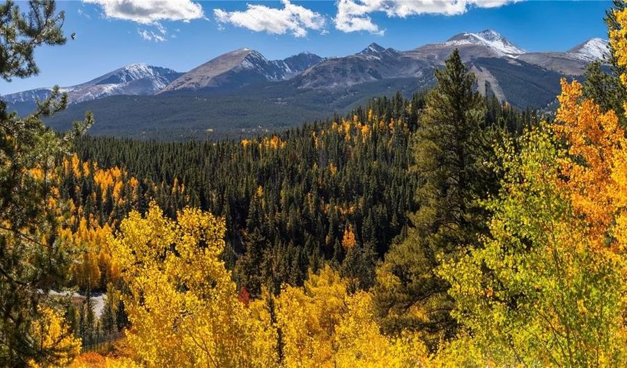 1139 BOREAS PASS Rd, Breckenridge, CO 80424 - 4 Beds, 4 Bath