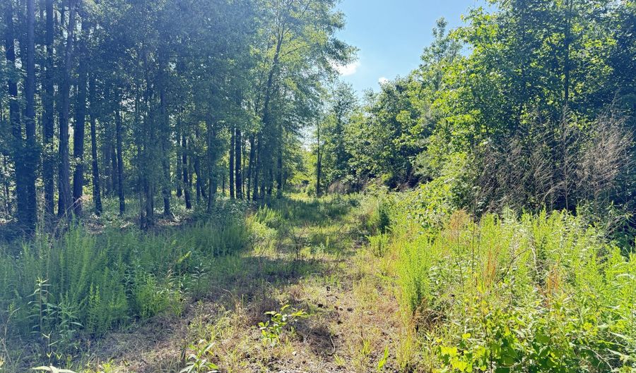0 Perkins, Barnesville, GA 30204 - 0 Beds, 0 Bath