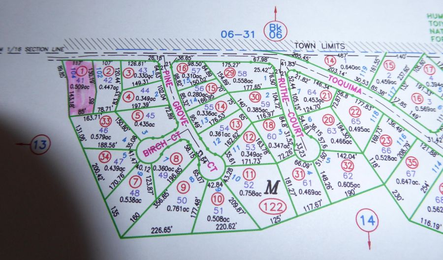 Toquima Way 41, Austin, NV 89310 - 0 Beds, 0 Bath
