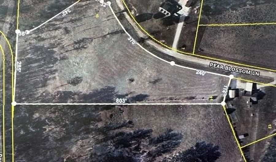PEAR BLOSSOM Ln lot 10 And 11, Adamsville, TN 38310 - 0 Beds, 0 Bath
