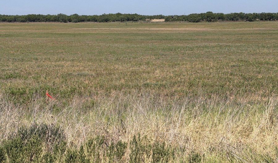 TBD Lot 25 County Road 497, Anson, TX 79501 - 0 Beds, 0 Bath
