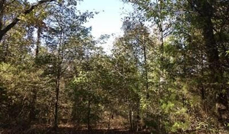 Tract 1 Land Off Meimerstorf Lane, Russellville, AR 72801 - 0 Beds, 0 Bath