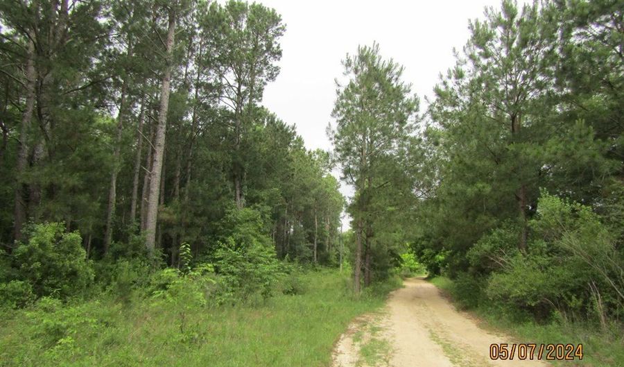 7275 Beulah Ln, Baconton, GA 31716 - 0 Beds, 0 Bath