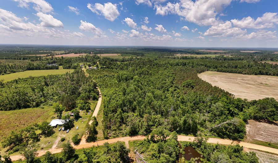 Lot # 3 - 6.2+/- Perry Horton, Adrian, GA 31002 - 0 Beds, 0 Bath