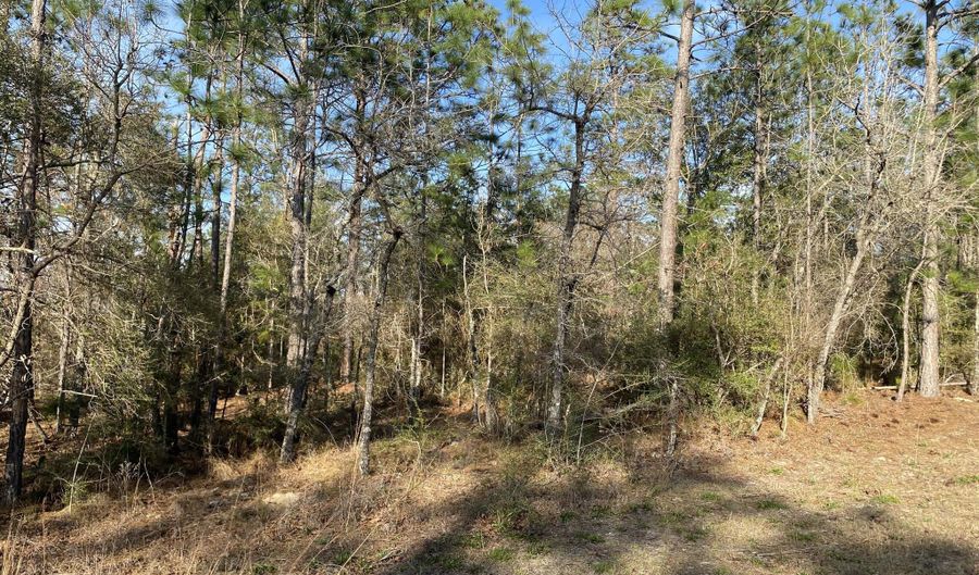 Largo Street, Alford, FL 32420 - 0 Beds, 0 Bath