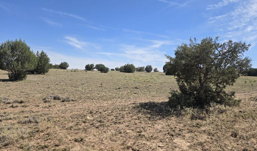 256 D Old Antelope Run Rd, Ash Fork, AZ 86320 - 0 Beds, 0 Bath
