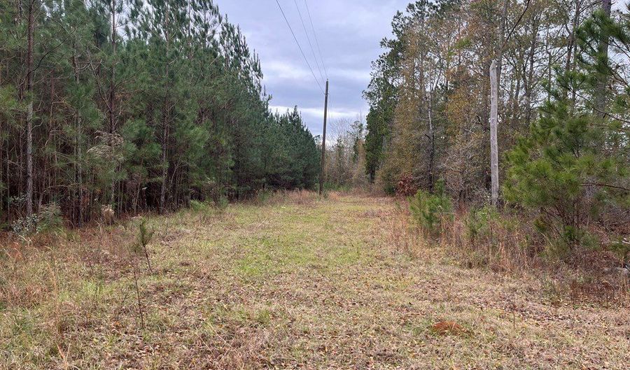 TBD County Road 86, Abbeville, AL 36310 - 0 Beds, 0 Bath