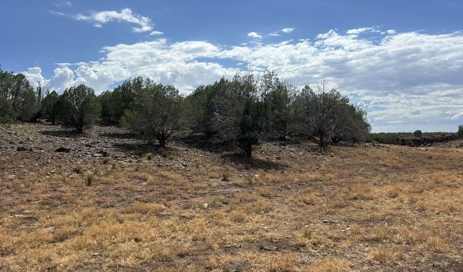 76 N Cattle Dr, Ash Fork, AZ 86320 - 0 Beds, 0 Bath