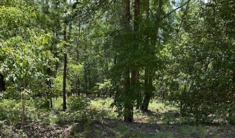 Tbd Watermelon Lane, Barnwell, SC 29812 - 0 Beds, 0 Bath