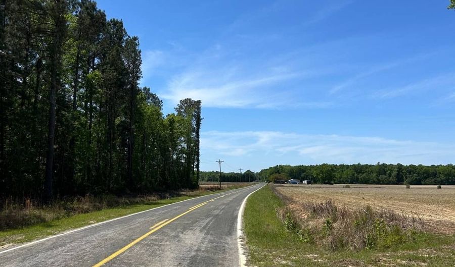 000 Bounty Acres Rd W, Bennettsville, SC 29512 - 0 Beds, 0 Bath