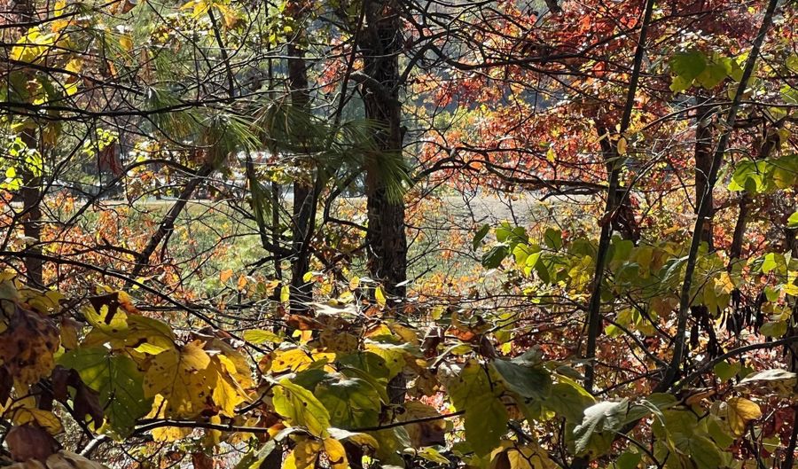 BRENDA Lane, Basye, VA 22810 - 0 Beds, 0 Bath