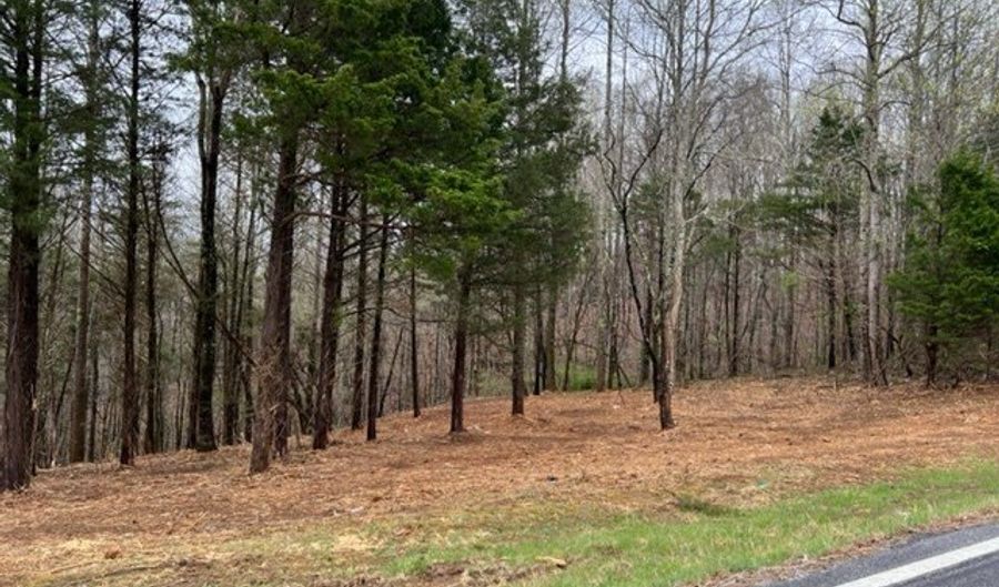 Willow Grove Hwy lot 1, Allons, TN 38541 - 0 Beds, 0 Bath