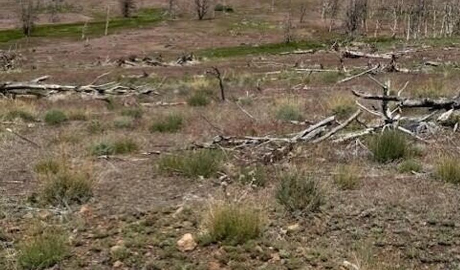 Hwy 395 unit 1 1, Gardnerville, NV 89410 - 0 Beds, 0 Bath